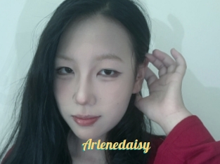 Arlenedaisy
