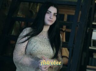 Astrobee