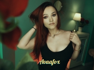 Avaafox