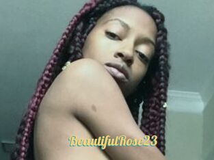 BeautifulRose23