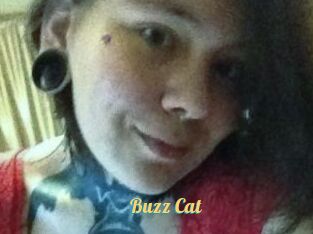 Buzz_Cat