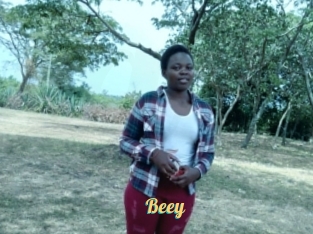 Beey