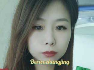 Bericezhangjing