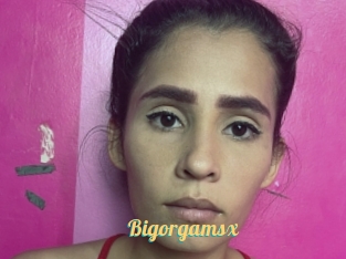 Bigorgamsx