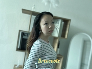 Breecoote