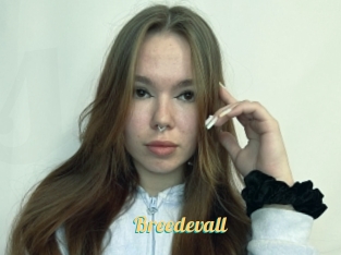 Breedevall