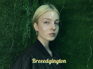 Breeedgington