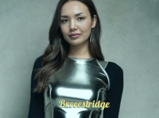 Breeestridge