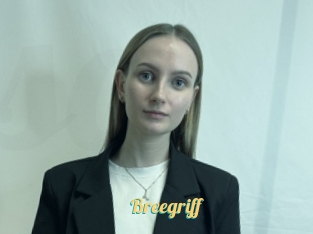 Breegriff