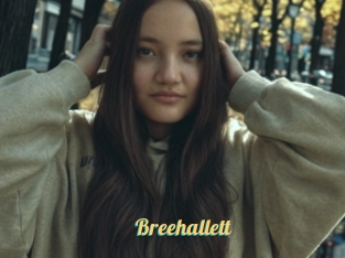 Breehallett