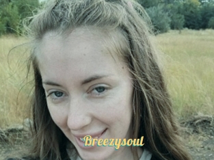 Breezysoul