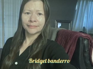 Bridget_banderro