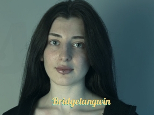 Bridgetangwin
