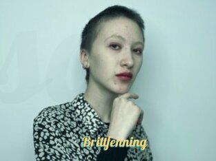 Brittfenning