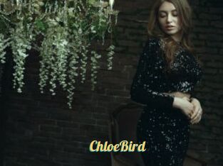 ChloeBird