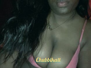 Chubbikatt