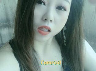 Cumvisit