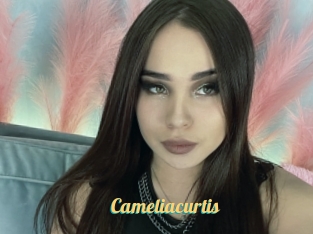Cameliacurtis
