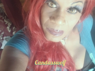 Candasswolf