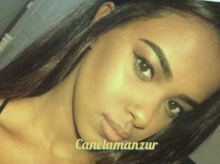 Canelamanzur