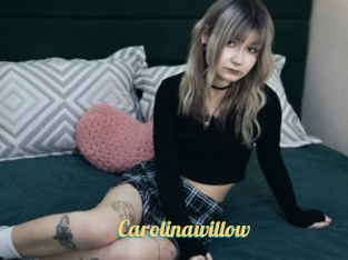 Carolinawillow