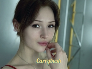 Carrybush