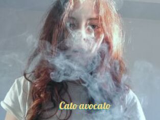 Cato_avocato