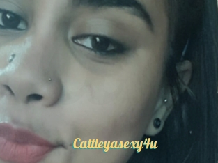 Cattleyasexy4u