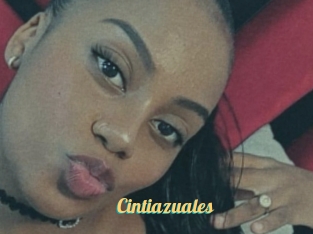 Cintiazuales