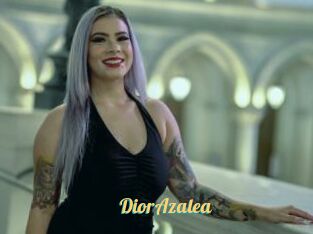 DiorAzalea