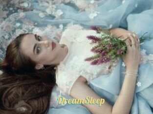 DreamSleep