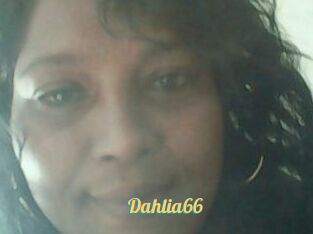 Dahlia66