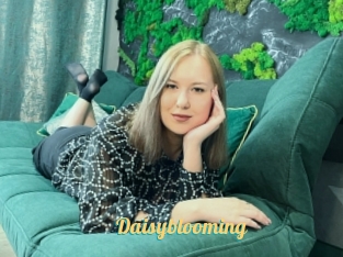 Daisyblooming