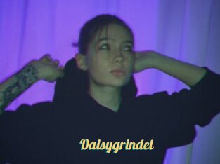 Daisygrindel