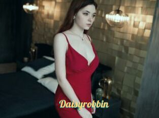Daisyrobbin