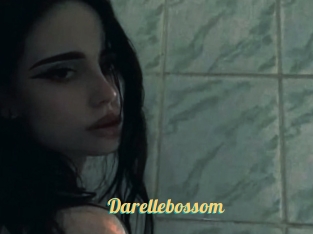 Darellebossom