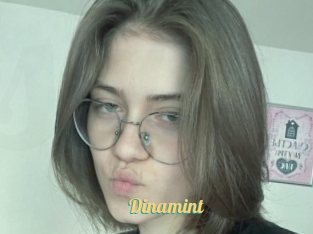 Dinamint