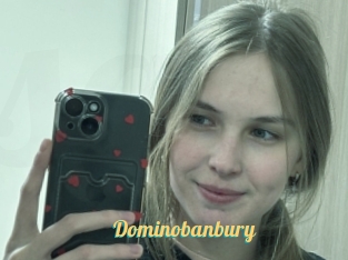 Dominobanbury