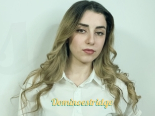 Dominoestridge