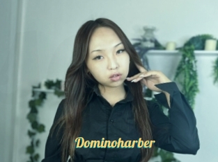 Dominoharber