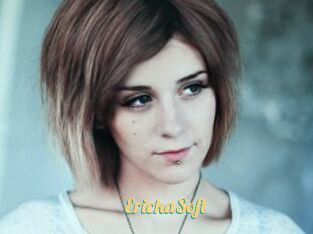 ErickaSoft