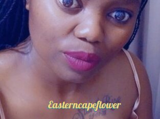Easterncapeflower