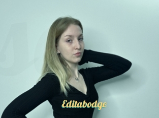 Editabodge