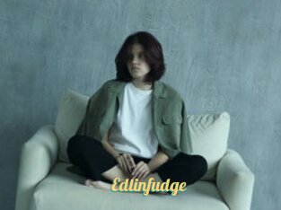 Edlinfudge