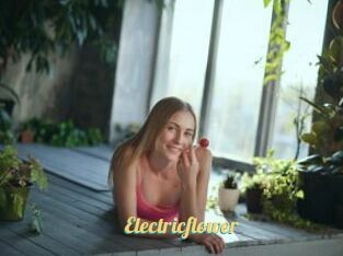 Electricflower