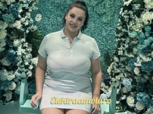 Elektraamotaro