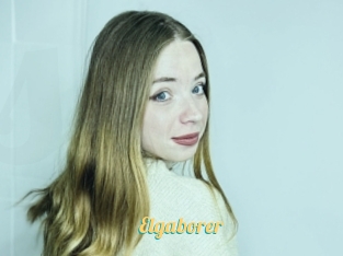 Elgaborer