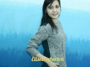 Elisebarberton