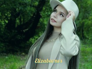 Elizabarnes