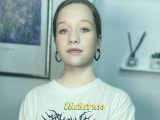Ellettebuss